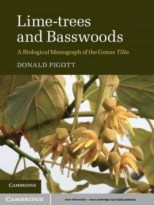 Cover of the book Lime-trees and Basswoods by Donald Pigott, Cambridge University Press