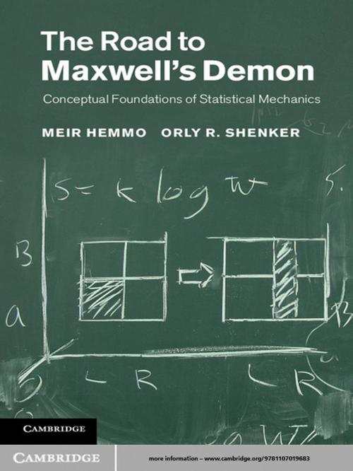 Cover of the book The Road to Maxwell's Demon by Orly R. Shenker, Meir Hemmo, Cambridge University Press
