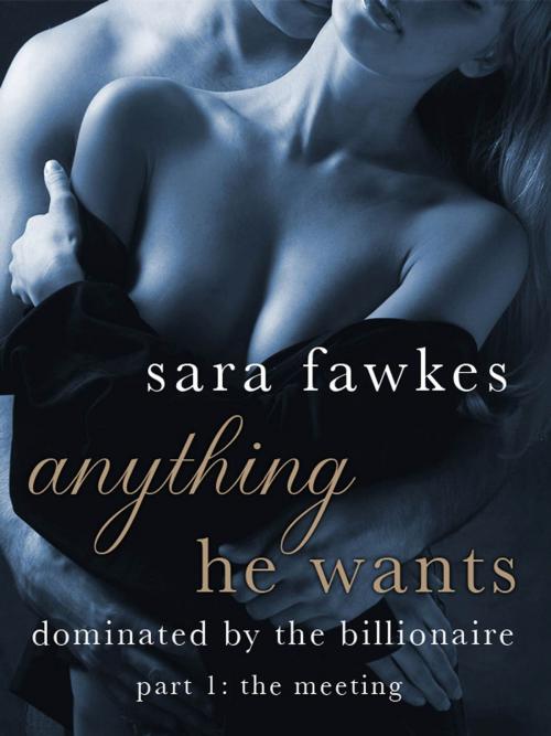 Cover of the book Anything He Wants: The Meeting (#1) by Sara Fawkes, St. Martin's Press