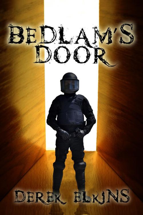 Cover of the book Bedlam’s Door by Derek Elkins, Bard and Book
