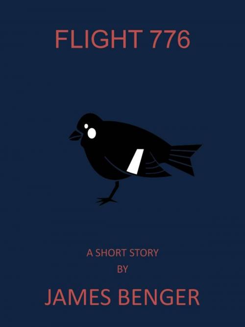 Cover of the book Flight 776 by James Benger, James Benger