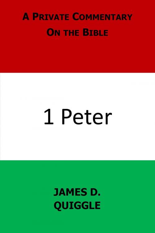 Cover of the book A Private Commentary on the Bible: 1 Peter by James D. Quiggle, James D. Quiggle