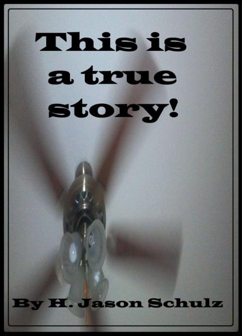 Cover of the book This is a True Story! by H Jason Schulz, H Jason Schulz