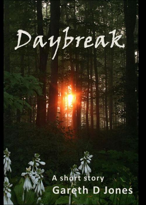 Cover of the book Daybreak by Gareth D Jones, Gareth D Jones