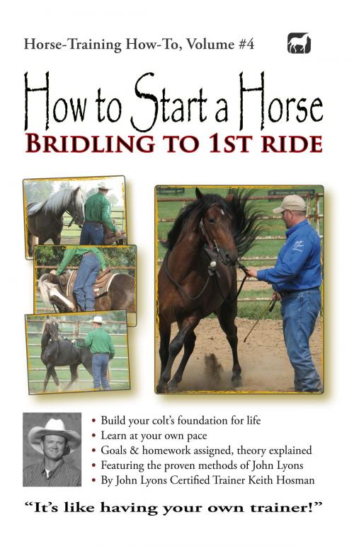 Cover of the book How to Start a Horse by Keith Hosman, Keith Hosman