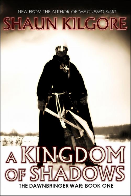 Cover of the book A Kingdom Of Shadows by Shaun Kilgore, Founders House Publishing LLC