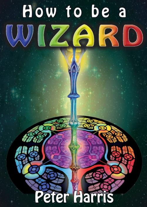 Cover of the book How to be a Wizard: How life is magical, and we are too by Peter Harris, Peter Harris