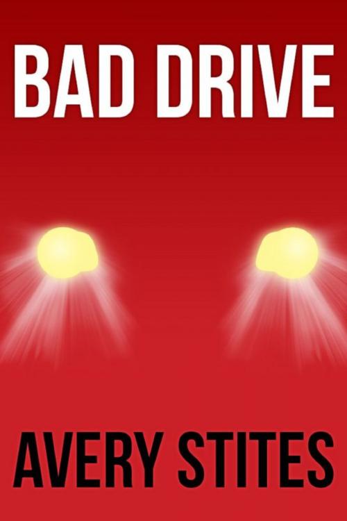 Cover of the book Bad Drive by Avery Stites, Avery Stites