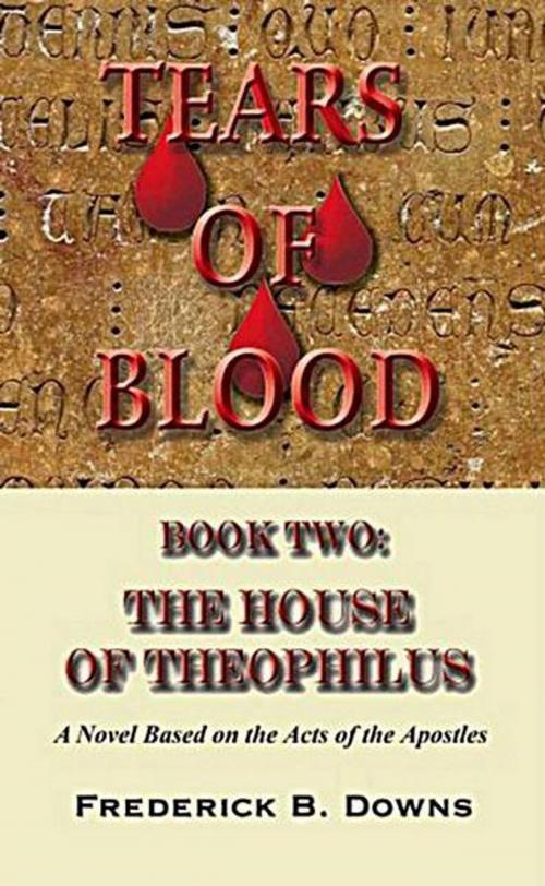 Cover of the book Tears of Blood Book Two: The House of Theophilus by Frederick Downs, Frederick Downs