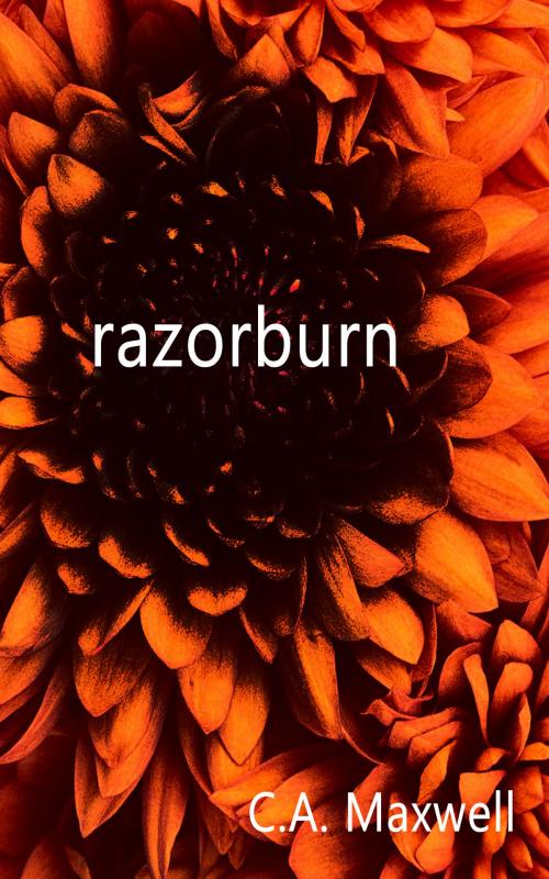 Cover of the book Razorburn by Carrie Ann Maxwell, Carrie Ann Maxwell