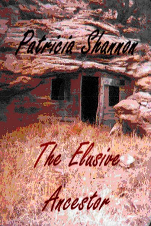 Cover of the book The Elusive Ancestor by Patricia Shannon, Patricia Shannon