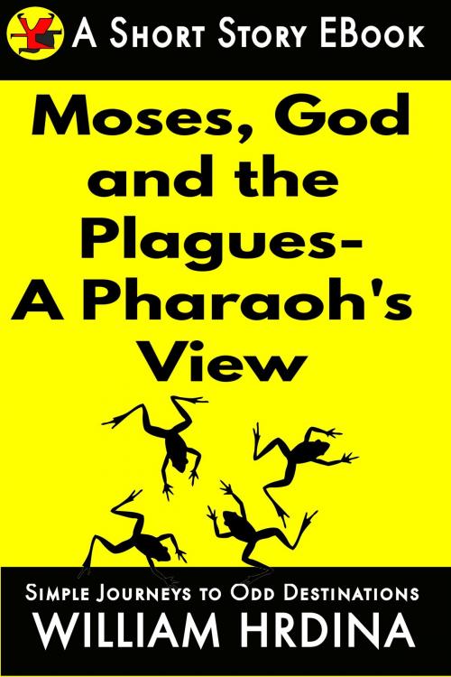 Cover of the book Moses, God and the Plagues- A Pharaoh's View by William Hrdina, William Hrdina