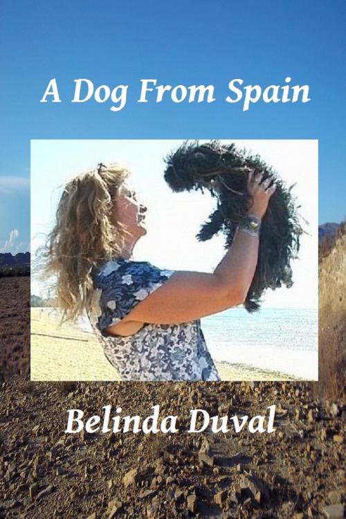 Cover of the book A Dog From Spain by Belinda Duval, Belinda Duval