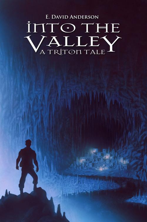 Cover of the book Into the Valley by E. David Anderson, E. David Anderson