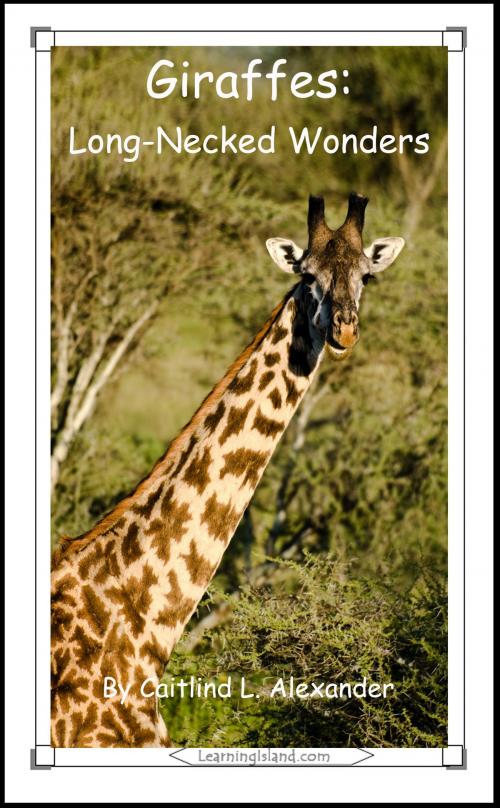 Cover of the book Giraffes: Long-Necked Wonders by Caitlind L. Alexander, LearningIsland.com