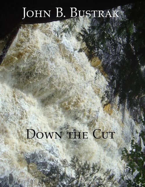 Cover of the book Down The Cut by John Bustrak, John Bustrak