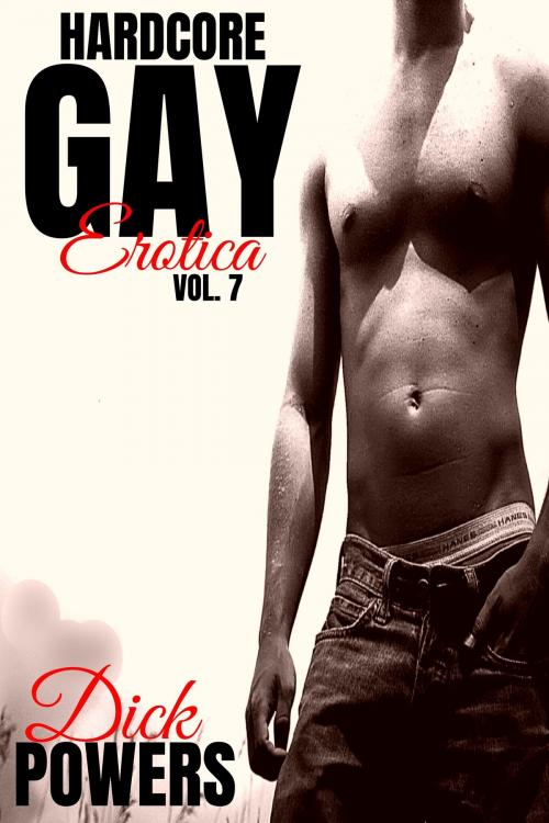 Cover of the book Hardcore Gay Erotica Vol. 7 by Dick Powers, Lunatic Ink Publishing