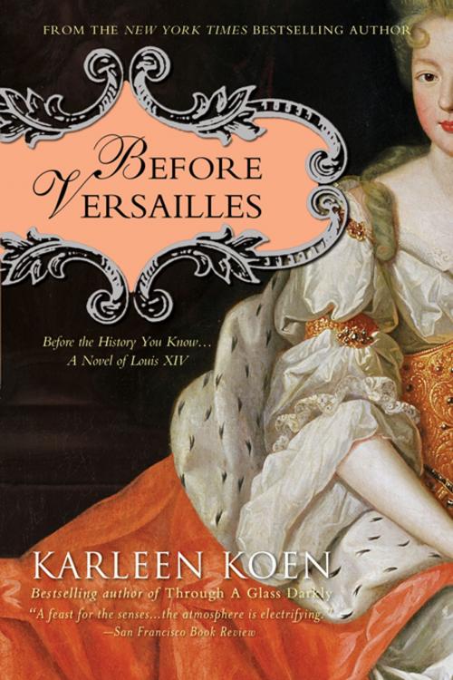 Cover of the book Before Versailles by Karleen Koen, Sourcebooks