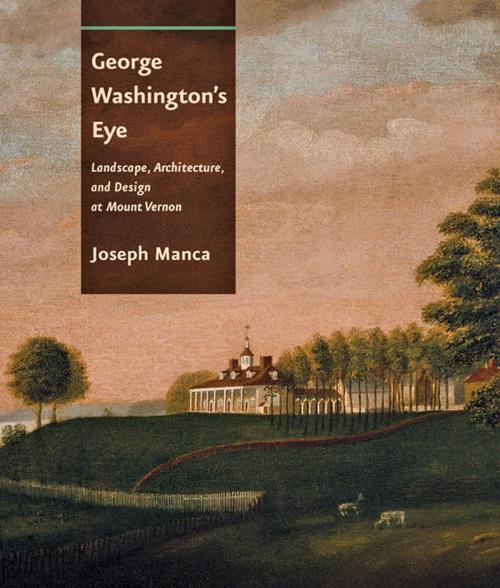 Cover of the book George Washington's Eye by Joseph Manca, Johns Hopkins University Press