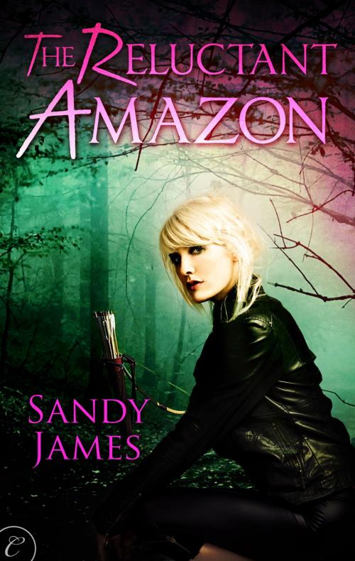 Cover of the book The Reluctant Amazon by Sandy James, Carina Press
