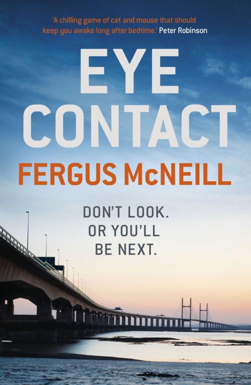 Cover of the book Eye Contact by Fergus McNeill, Hodder & Stoughton