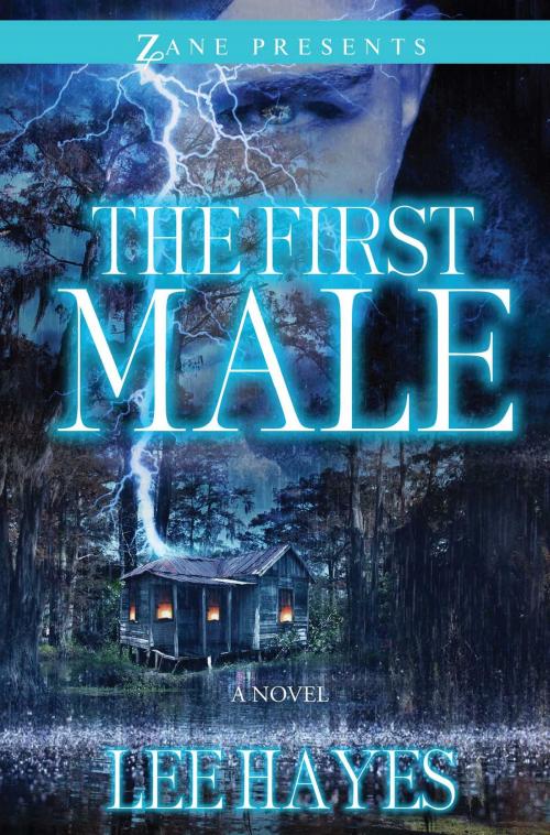 Cover of the book The First Male by Lee Hayes, Strebor Books