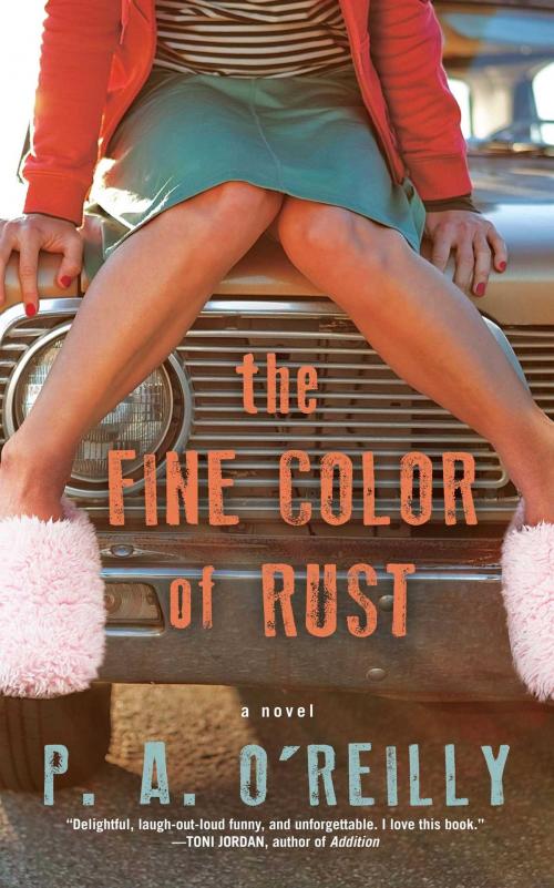 Cover of the book The Fine Color of Rust by Paddy O'Reilly, Washington Square Press