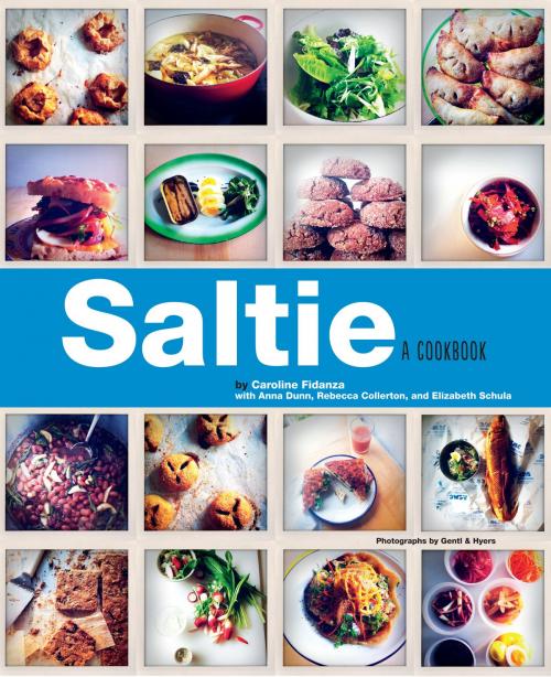 Cover of the book Saltie by Caroline Fidanza, Chronicle Books LLC