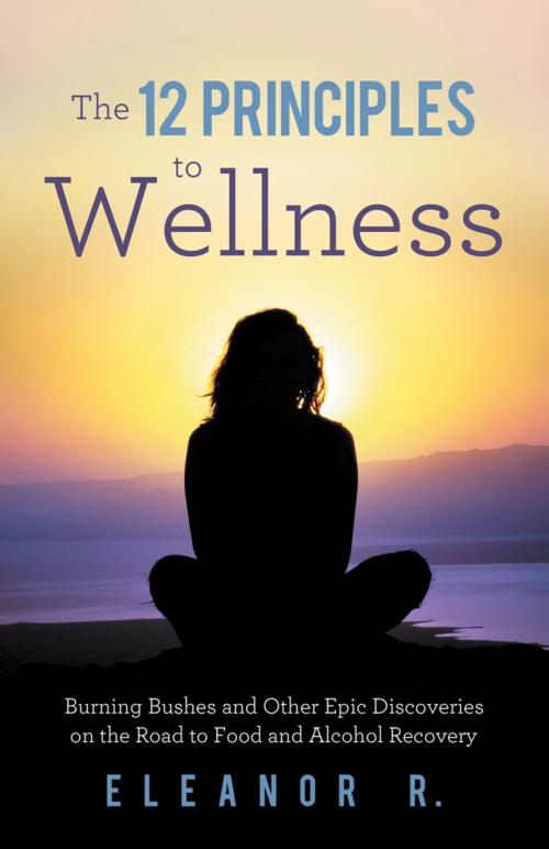 Cover of the book The 12 Principles to Wellness by Eleanor R., Balboa Press