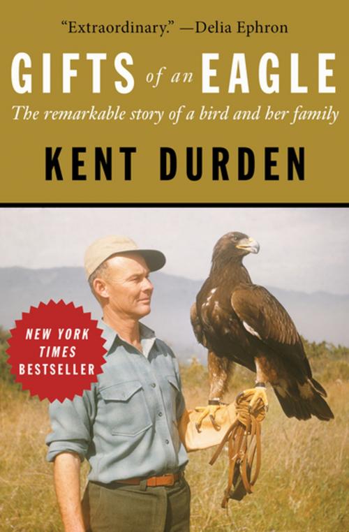 Cover of the book Gifts of an Eagle by Kent Durden, Open Road Media