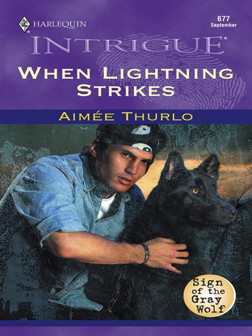 Cover of the book WHEN LIGHTNING STRIKES by Aimee Thurlo, Harlequin
