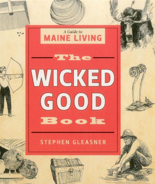 Cover of the book The Wicked Good Book by Stephen Gleasner, Down East Books