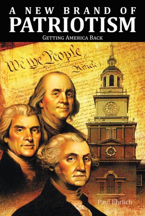 Cover of the book A New Brand of Patriotism by Paul Ehrlich, Trafford Publishing