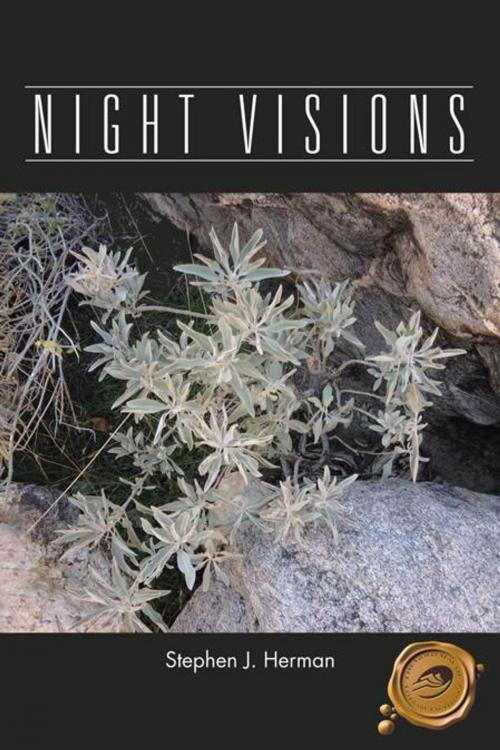 Cover of the book Night Visions by Stephen J. Herman, Trafford Publishing