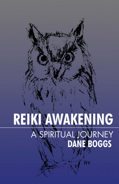 Cover of the book Reiki Awakening by Dane Boggs, iUniverse