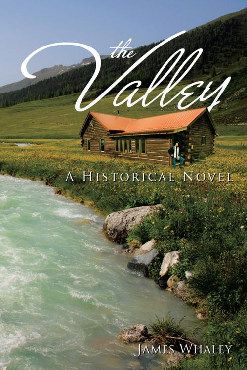 Cover of the book The Valley by James Whaley, iUniverse