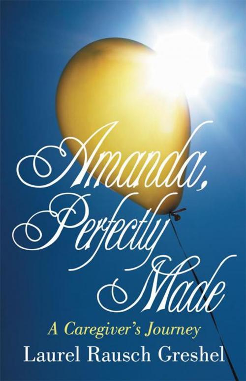Cover of the book Amanda, Perfectly Made by Laurel Rausch Greshel, iUniverse