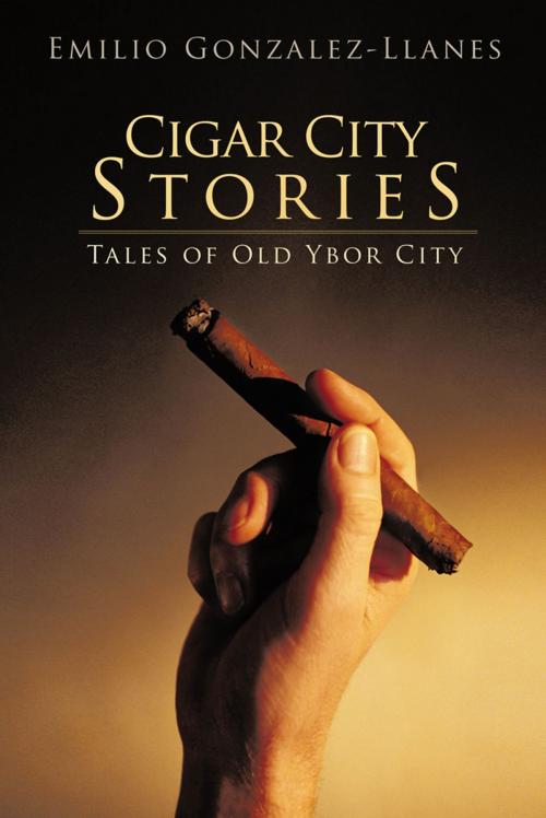 Cover of the book Cigar City Stories by , iUniverse