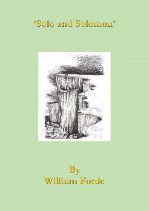 Cover of the book Solo and Solomon by William Forde, William Forde