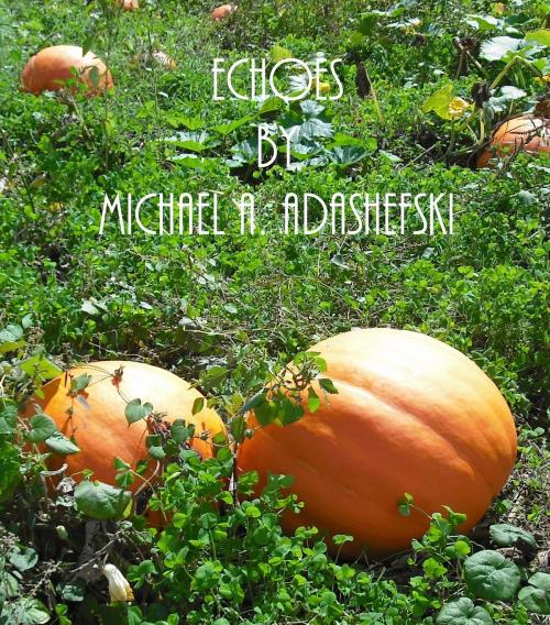 Cover of the book Echoes by Michael Adashefski, Michael Adashefski