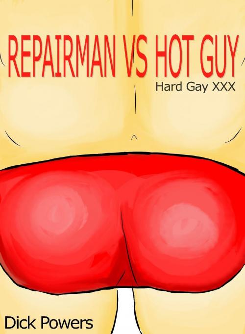 Cover of the book Repairman vs Hot Guy by Dick Powers, Lunatic Ink Publishing