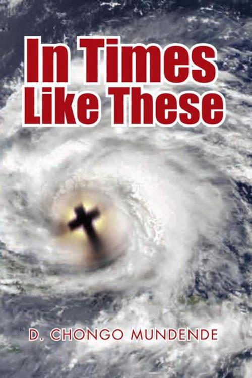 Cover of the book In Times Like These by D. Chongo Mundende, Xlibris US