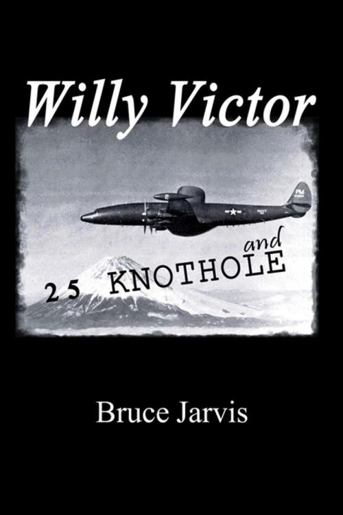 Cover of the book Willy Victor and 25 Knot Hole by Bruce Jarvis, Xlibris US