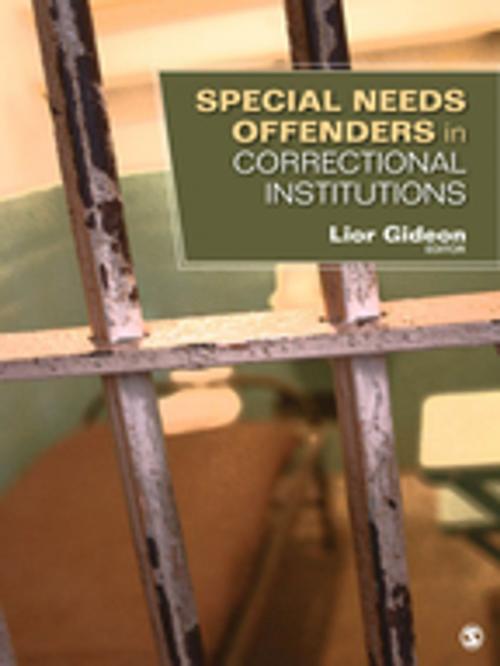 Cover of the book Special Needs Offenders in Correctional Institutions by , SAGE Publications