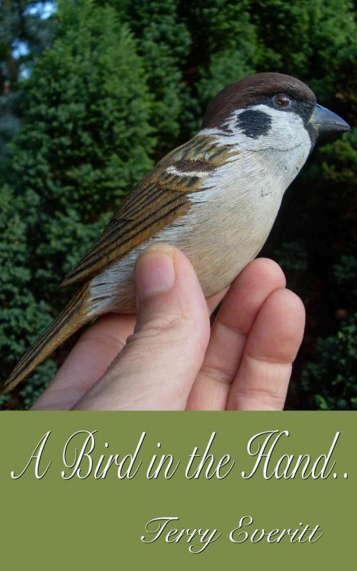 Cover of the book A Bird in the Hand by Terry Everitt, Raven Crest Books