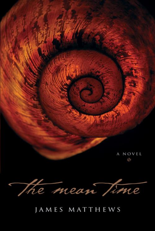 Cover of the book The Mean Time by James Matthews, Breakwater Books Ltd.