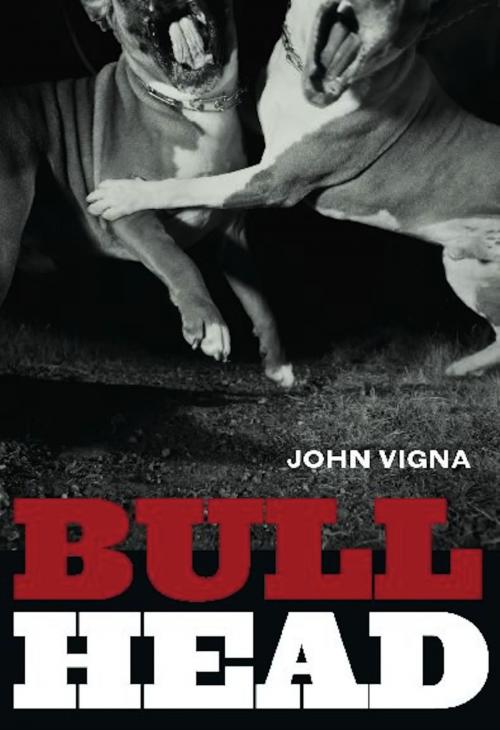 Cover of the book Bull Head by John Vigna, Arsenal Pulp Press
