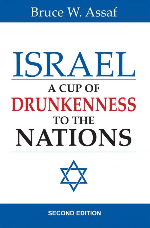 Cover of the book Israel: A Cup of Drunkenness to the Nations - 2nd edition by Bruce W. Assaf, Essence Publishing