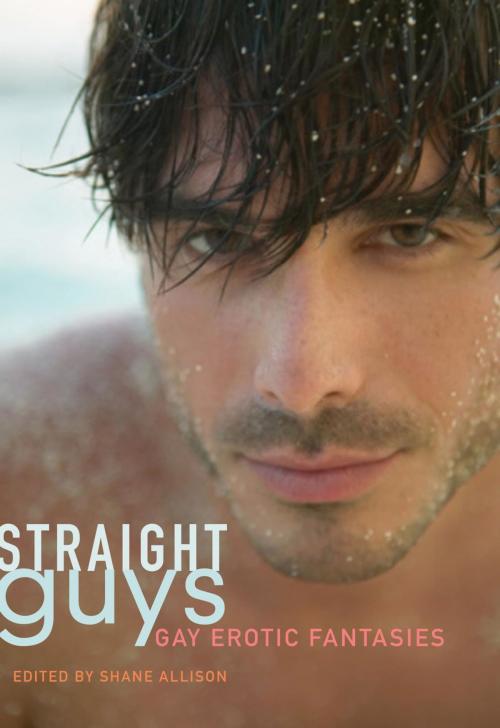 Cover of the book Straight Guys by , Cleis Press