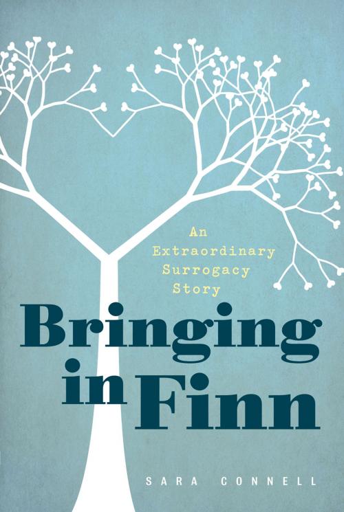 Cover of the book Bringing in Finn by Sara Connell, Basic Books